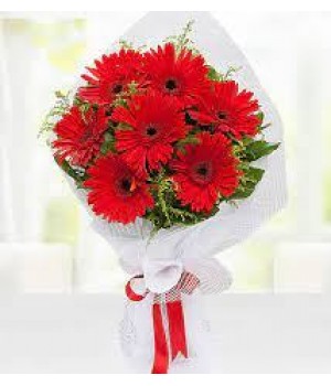 KIRMIZI GERBERA BUKETİ